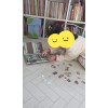 https://sowonyplayground.com/data/itemuse/thumb-1995116244_5RdoHAPc_9aff21cb912fbf4fbecbb3f8bdda7493a8597b50_100x100.jpg
